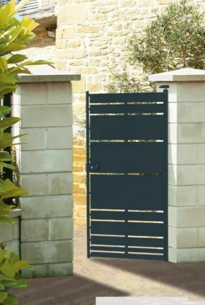 Porti din Tabla Model 10
