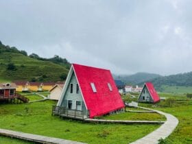 produse metalurgice esentiale fier beton plase profile comanda online pdet 49