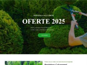 produse metalurgice esentiale fier beton plase profile comanda online pdet 4